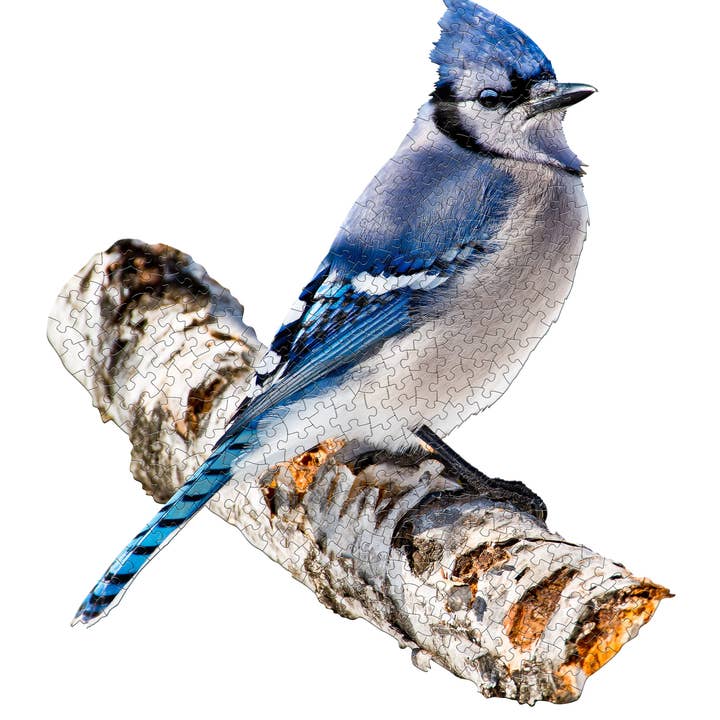 PUZZLE DISPLAY - Blue Jay 300pc for wholesale by Madd Capp Games & Puzzles