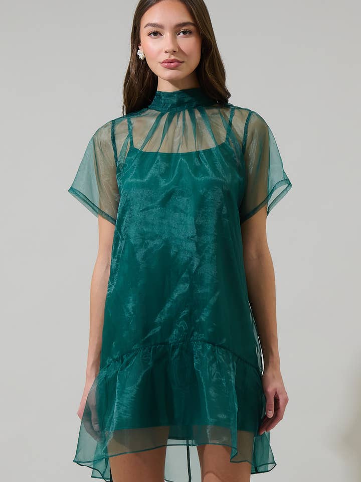 Berny Organza Mock Neck Mini Dress for wholesale by Sugarlips
