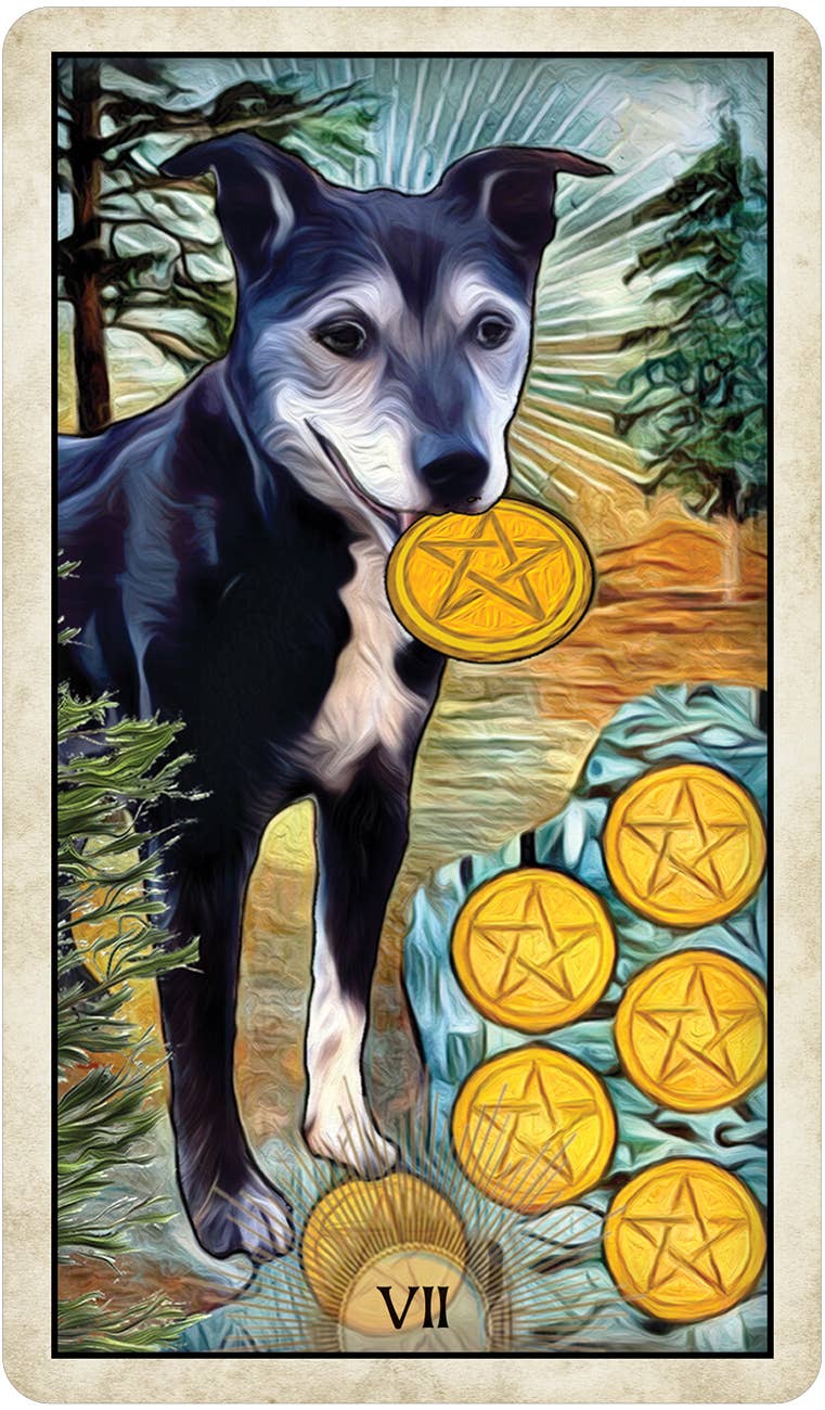 Cardshouse – wholesale Tarot cards – Wise Dog Tarot Cards Us Games Systems3