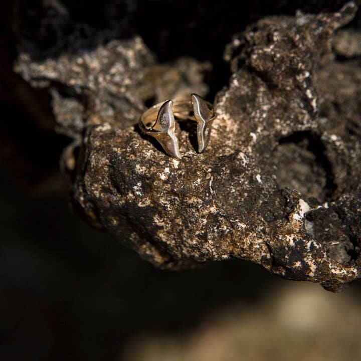 WHALE for wholesale by Selvatica