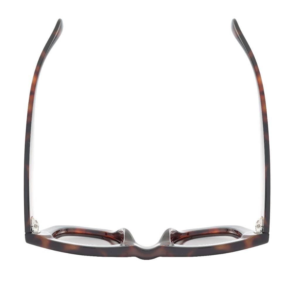 Ryan Simkhai Eyeshop - Wholesale Sunglasses - Unisex - RONAN | Tortoise | Blue Lense3