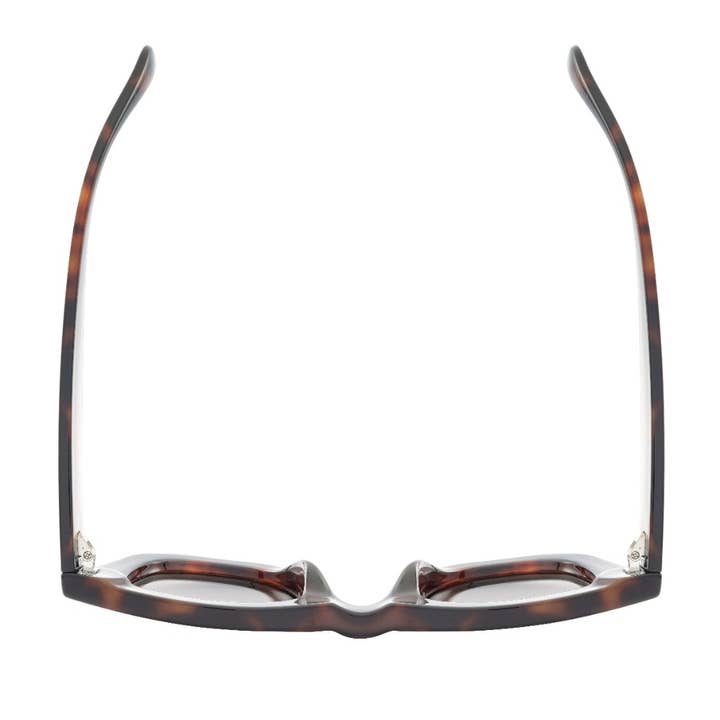 Ryan Simkhai Eyeshop - Wholesale Sunglasses - Unisex - RONAN | Tortoise | Blue Lense3