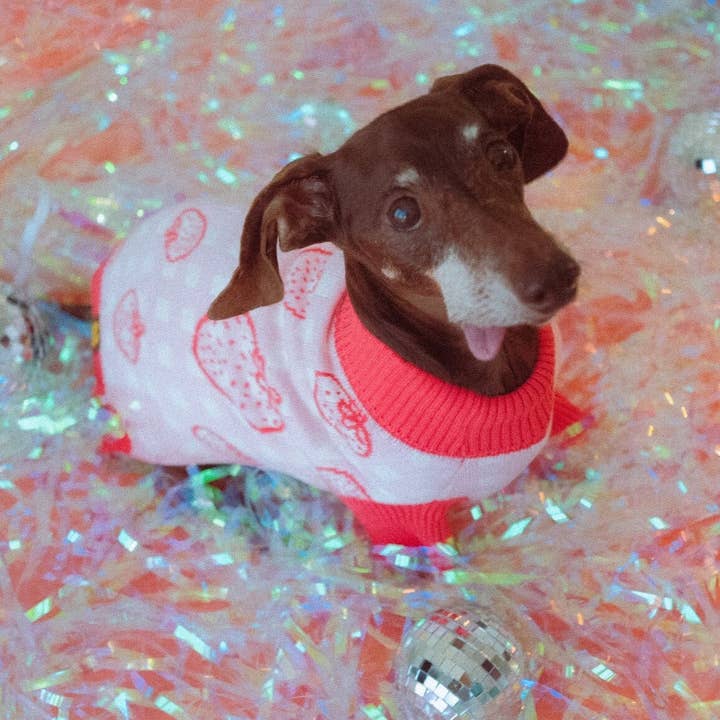 Strawberry Knitted Dog Sweater for wholesale by Sunbean