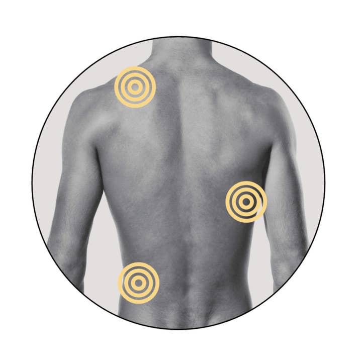 SOWE Botanic Lab - Wholesale Facial Oil - Organic arnica oil4