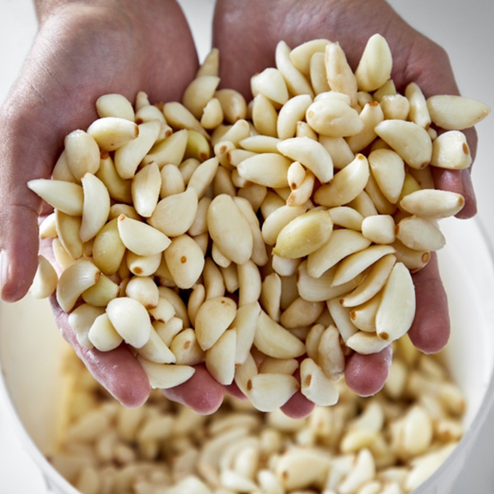 Garlic Expressions - Wholesale Salad Dressing - Garlic Expressions Vinaigrette Dressing & Marinade2