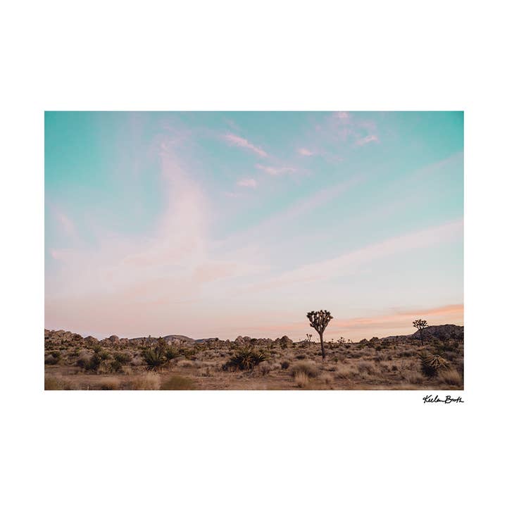 Joshua Tree Sunset Tree Photo Print for wholesale by Keebee Studios