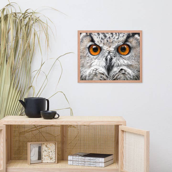 Pipa Wall Art & Home Decor - Wholesale Art Print - Close-up Yellow Owl Eyes Animal Wildlife Framed Wall Art10