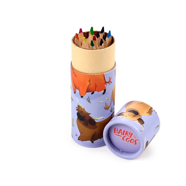 Puckator Ltd - Wholesale Coloured pencil - Hairy Coos Highland Coo Pencil Pot with 12 Colouring Pencils2