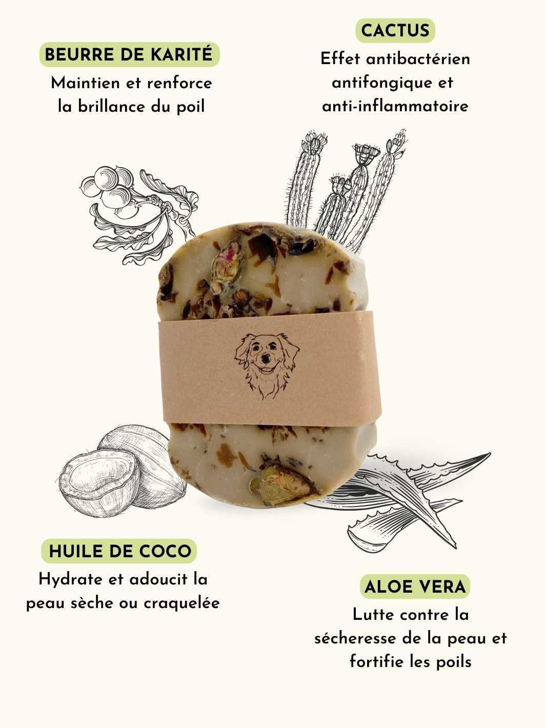 Truffe Délice - Wholesale Pet Shampoo - Dog - Sensitive skin dog shampoo1