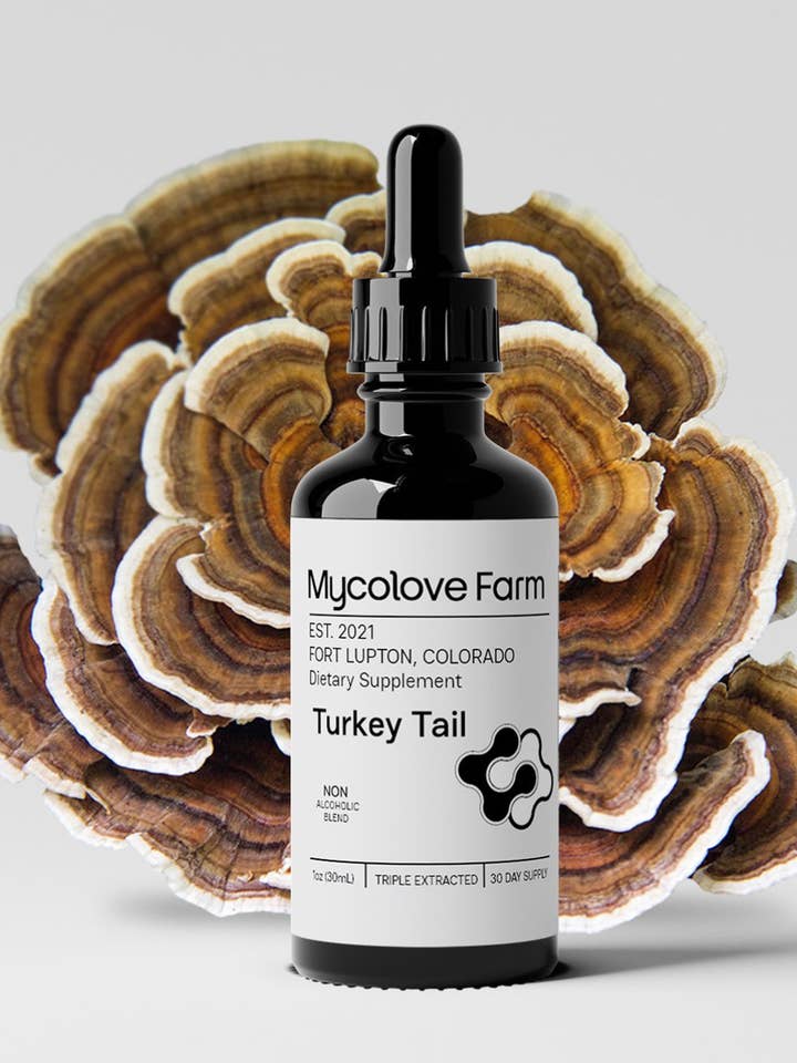 Organic Turkey Tail Mushroom Tincture Glycerine for wholesale by MycoLove Farm