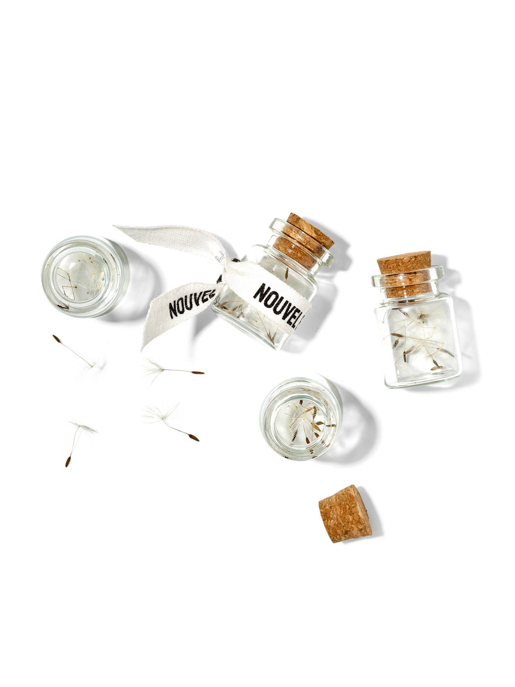 NOUVEL ÉTÉ - Wholesale Party Favor - Mini jar with real dandelion seeds — wish you something1