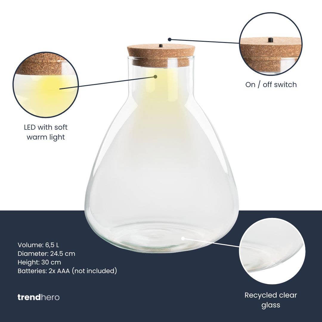 Trendhero.nl/b2b - Wholesale Terrarium - Terrarium bottle 'Sam' - Incl. LED cork - Closed terrarium Ø 24.5 cm ↑ 30 cm3