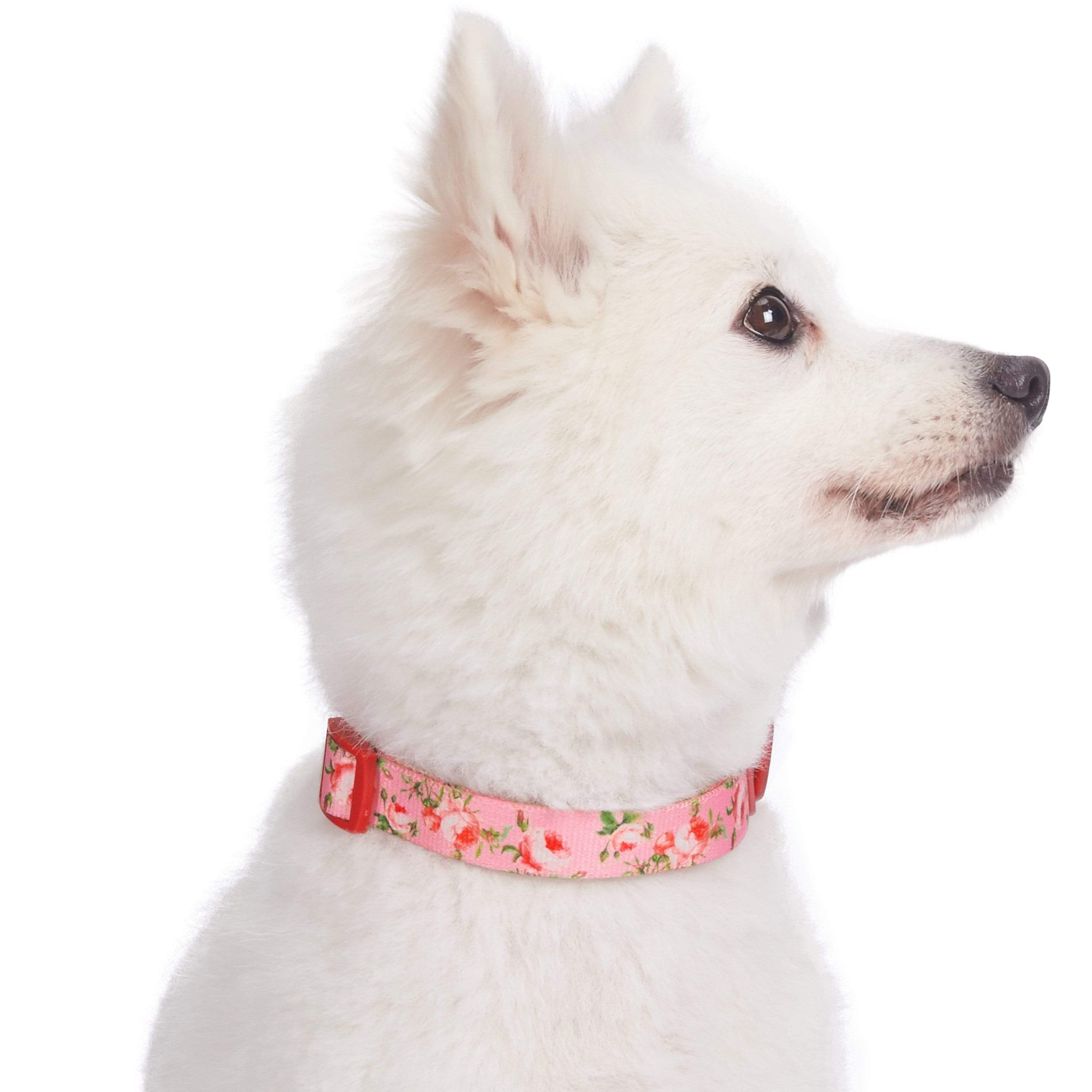 Blueberry Pet - Wholesale Halsband - Hond - Lichtgewicht verstelbare hondenhalsband met lente bloemenpatroon12