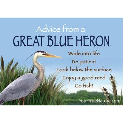 Advice from a Great Blue Heron Jumbo Magnet for wholesale by Advice for Life by Your True Nature