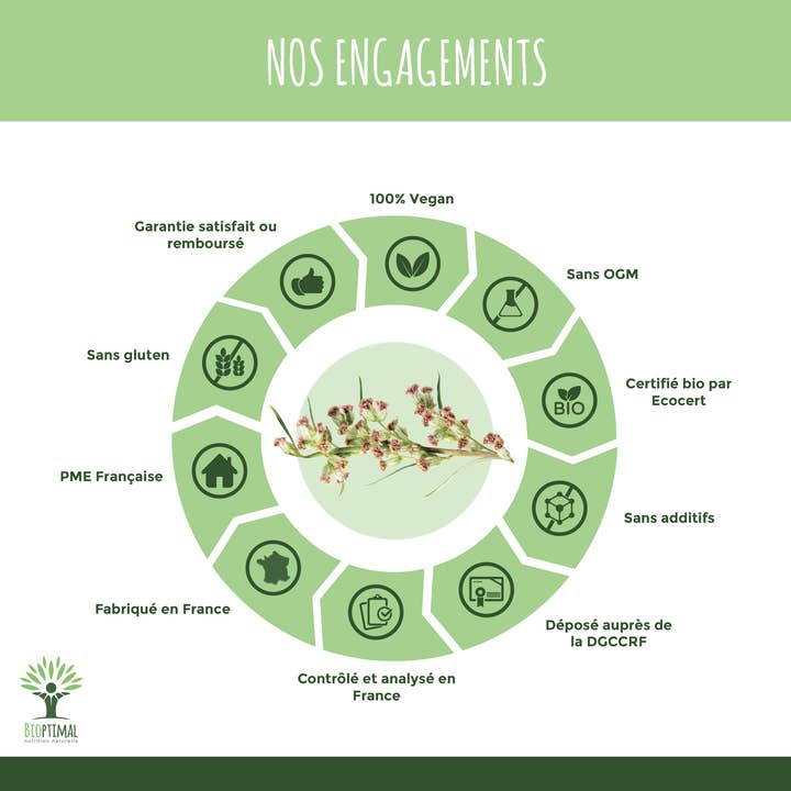 Bioptimal - Wholesale Oral Supplement/Vitamin - Organic Artemisia - Food supplement - in capsules6