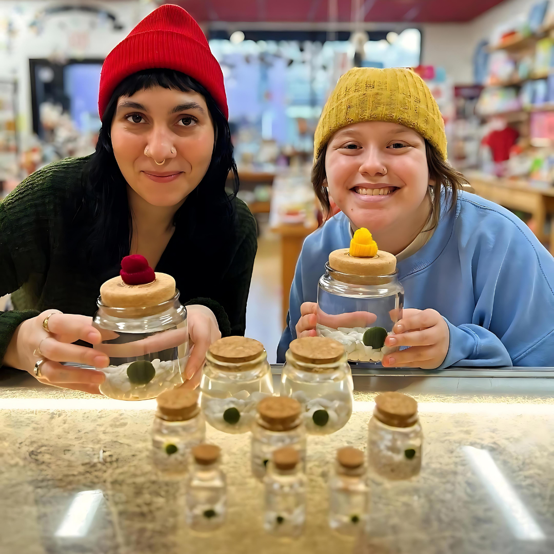 Moss Amigos | Moss Ball Terrariums - Wholesale Live Plant - Classic Small Marimo Moss Ball Terrarium2