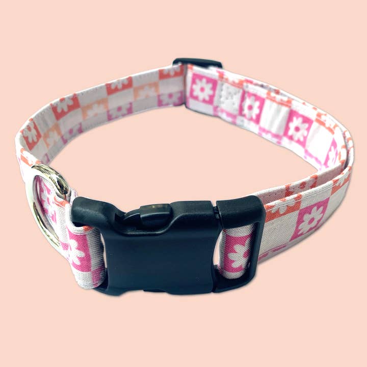 Regnbåge Prästkrage för wholesale av Luca and B