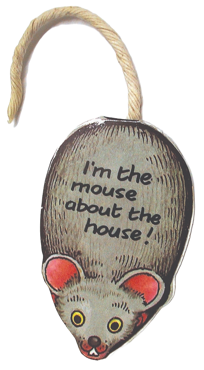 EDC Publishing - Wholesale Preschool Book (3-5) - There's a Mouse About the House2