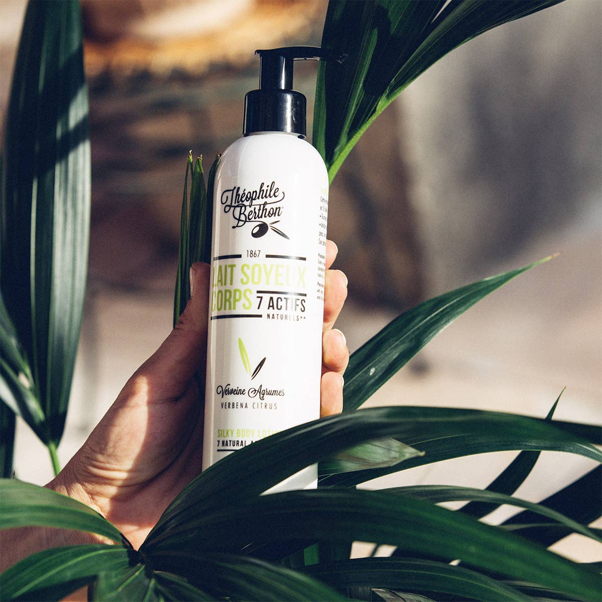 Theophile Berthon - Wholesale Body Balm/Butter - Promo 4+2 free = 6 Silky Body Milks 240ml9