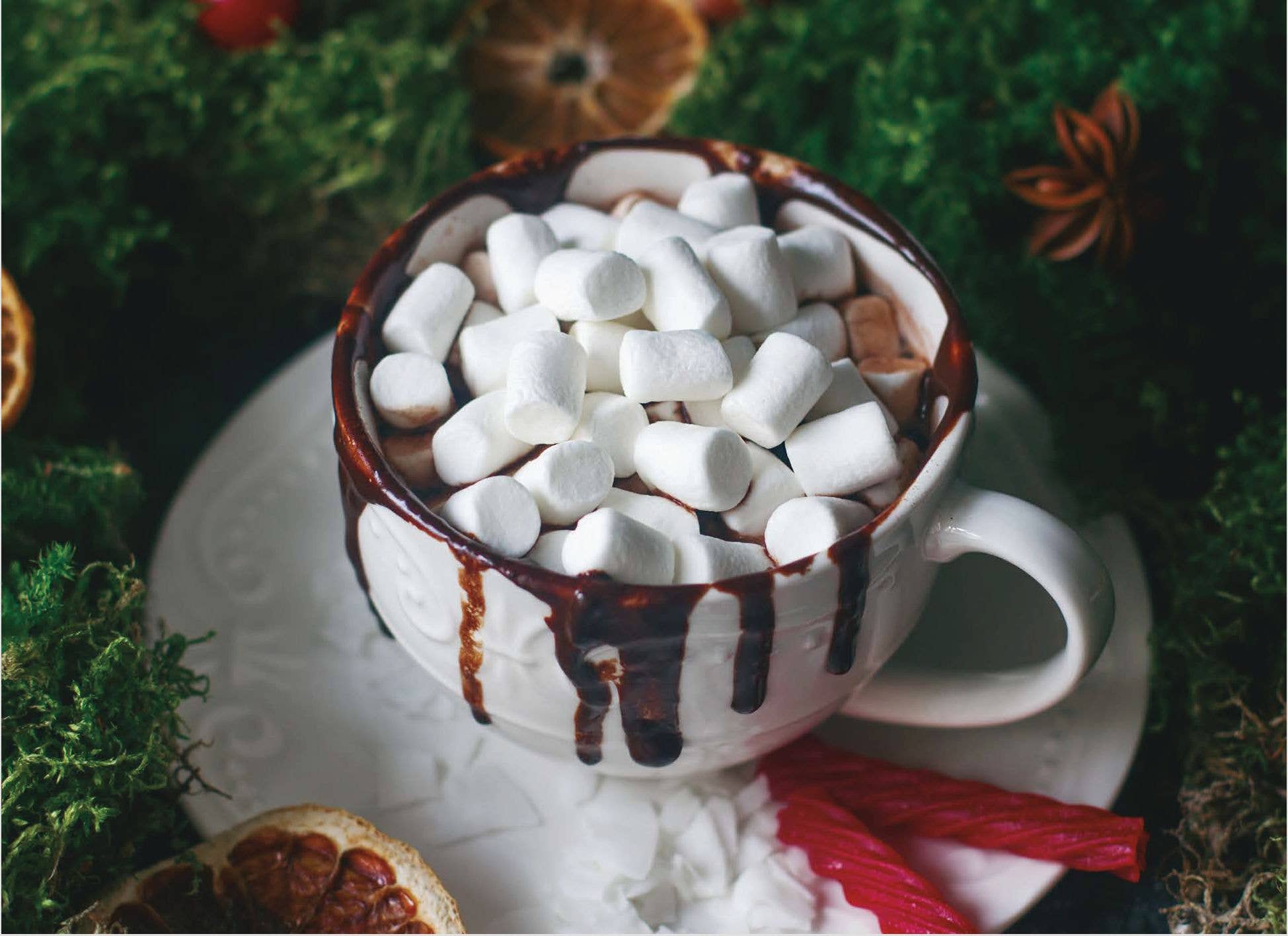 Crown Point Graphics - Vente Cartes de Noël - Cartes de Noël religieuses en boîte - Noël douillet KJV5