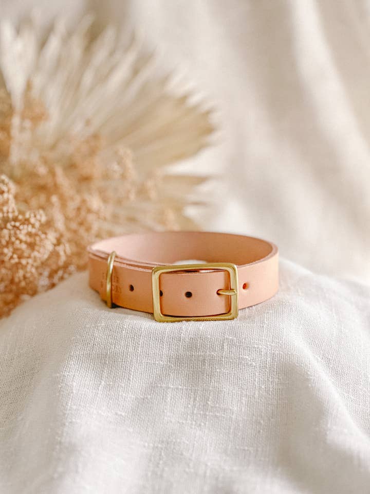 Collare per cani in pelle naturale WIDE per la vendita all'ingrosso da parte di EMBER & IVORY