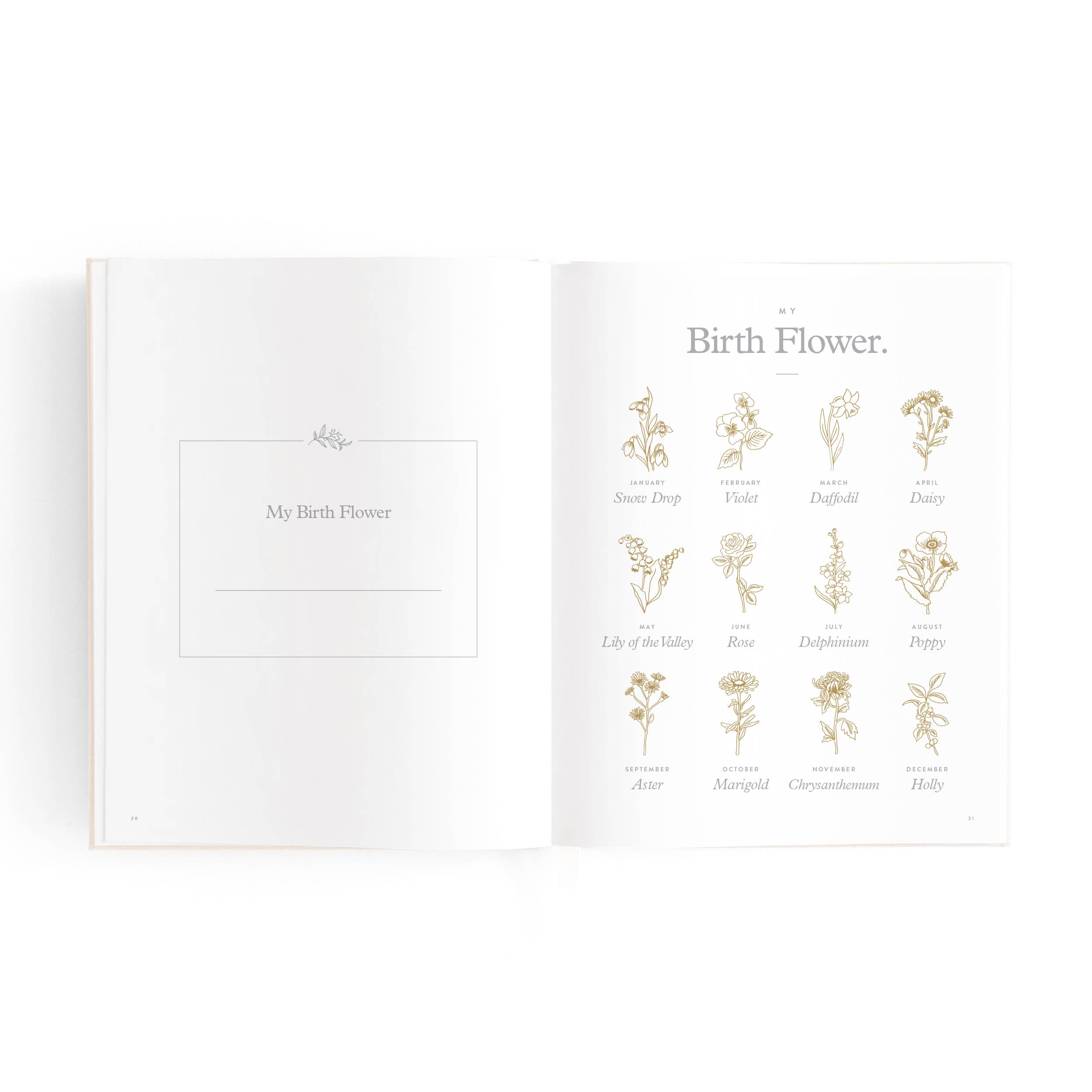 Fox & Fallow – wholesale Minnesbok - Barn och baby – Mini Baby Book Havregryn29