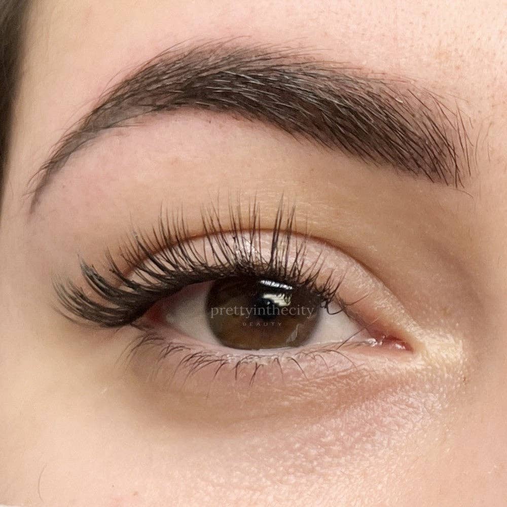 Pretty In The City Beauty - Wholesale False/Fake Eyelashes - OG Classic Style - Lash Clusters 60pc2