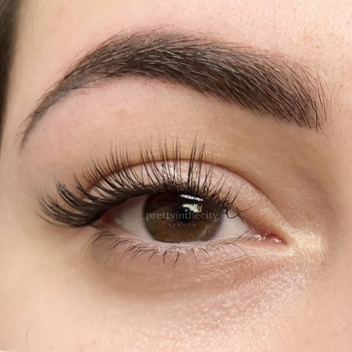 Pretty In The City Beauty - Wholesale False/Fake Eyelashes - OG Classic Style - Lash Clusters 60pc2