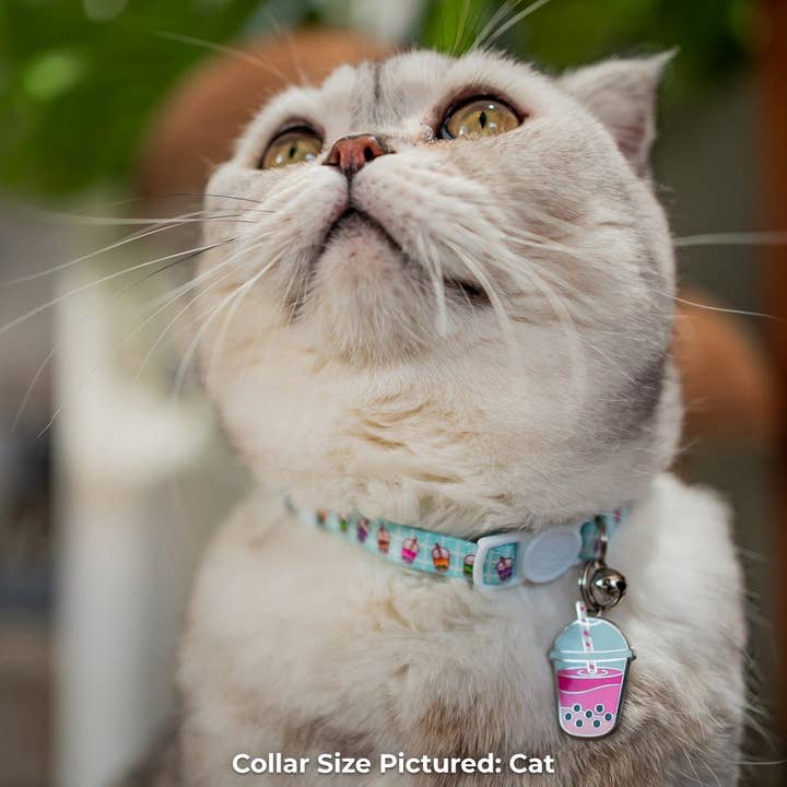 Pawsonify - Wholesale Pet Collar - Cat - Boba Collar2