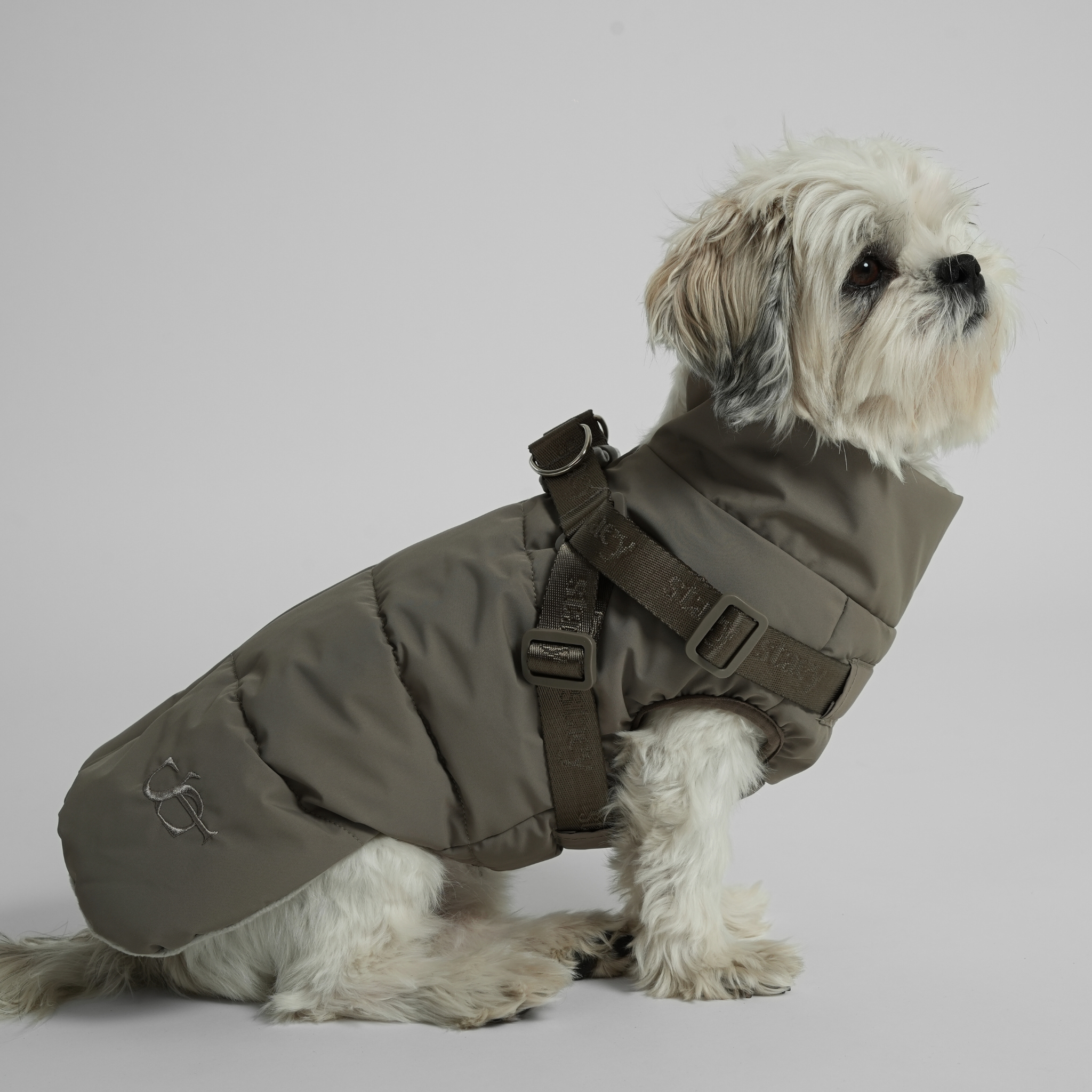 Staey - Wholesale Pet Coat - Dog - Vera Dog Coat with Harness | Sage18