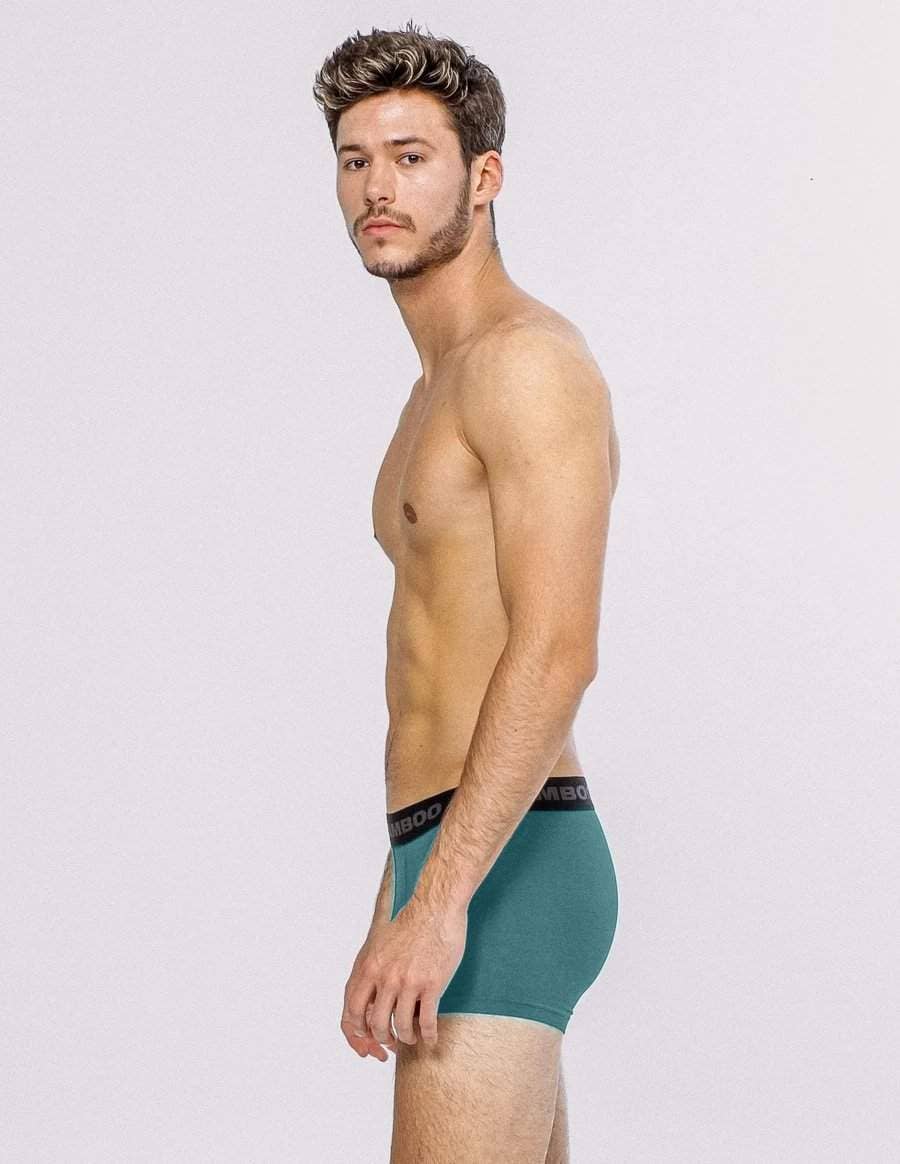 Bamboo Underwear - Wholesale Underwear - Men's - Men's Boxer 4"24