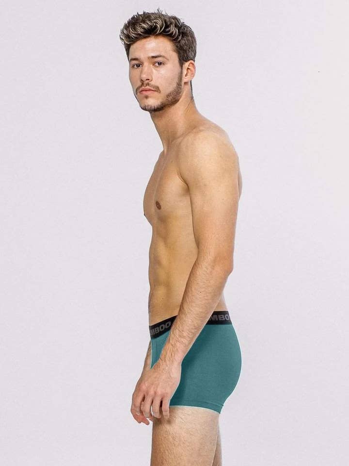 Bamboo Underwear - Wholesale Underwear - Men's - Men's Boxer 4"24