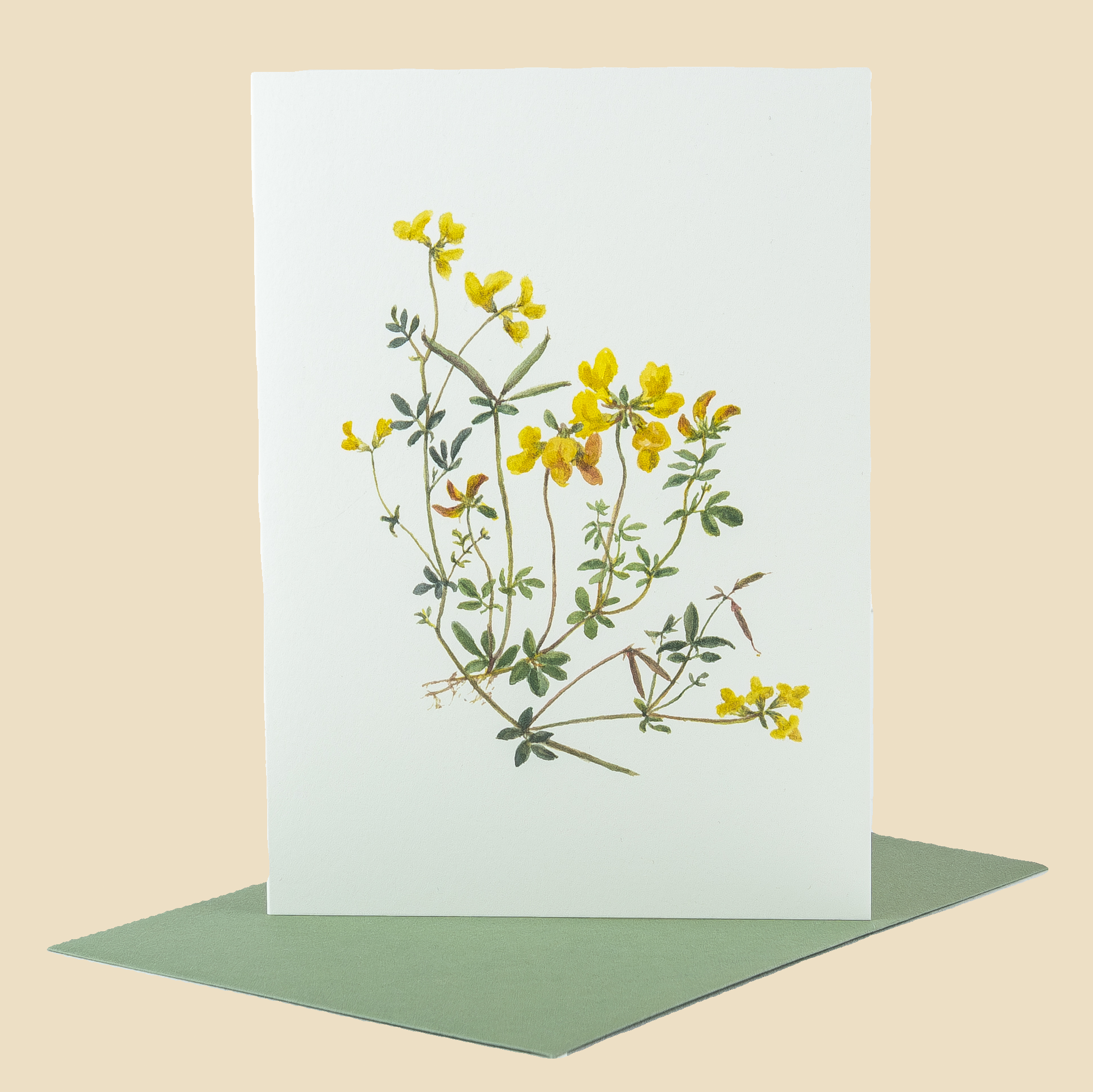 Sophia Davenport - Wholesale Everyday Greeting Card - Wildflower Greeting Cards and Notelets0