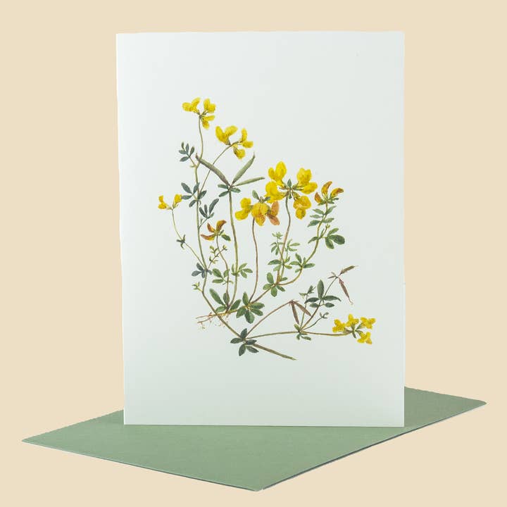 Sophia Davenport - Wholesale Everyday Greeting Card - Wildflower Greeting Cards and Notelets