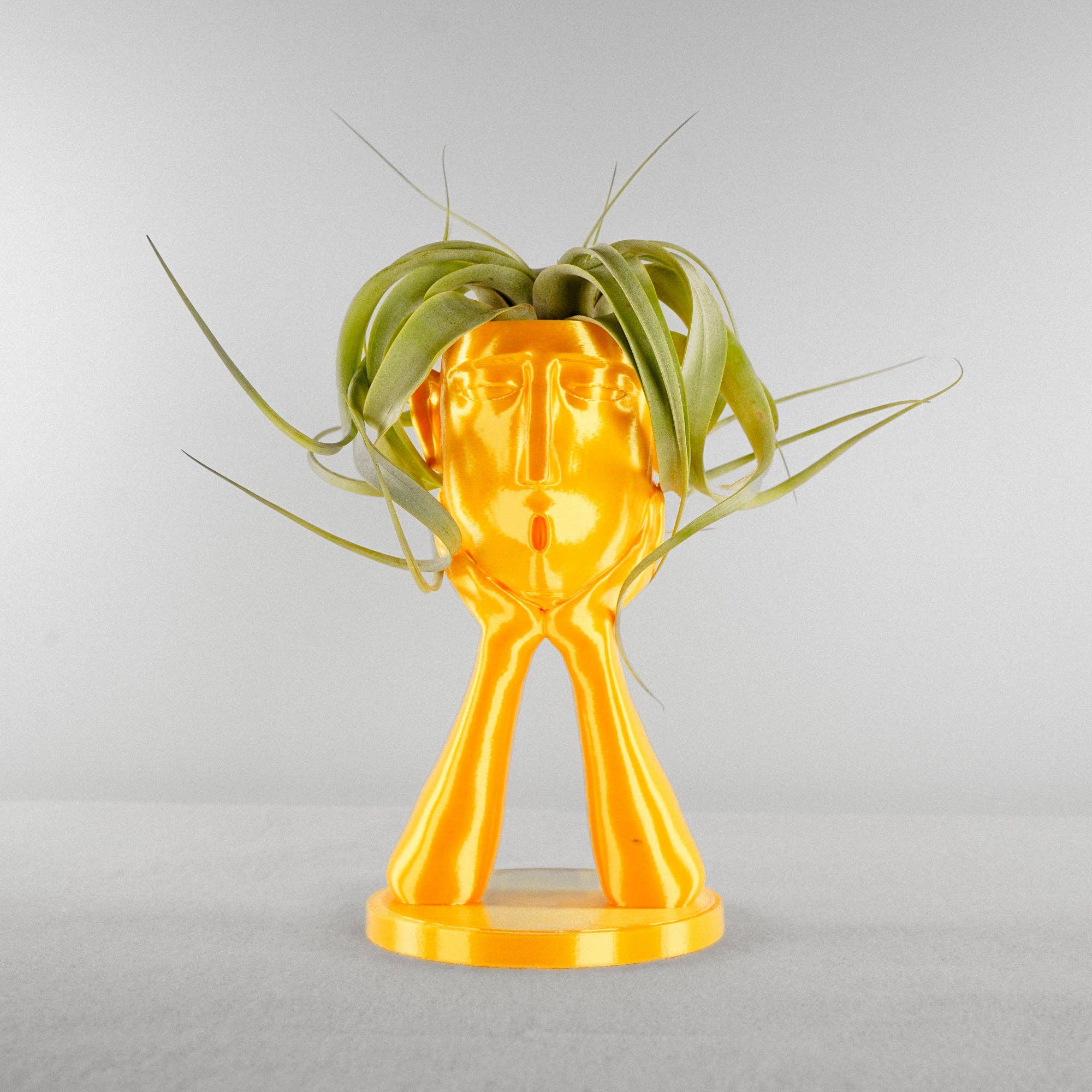 Rosebud Homegoods - Vente Pot - Support pour plantes gonflables Stonehenge, joli pot à tête, cadeau de décoration unique4