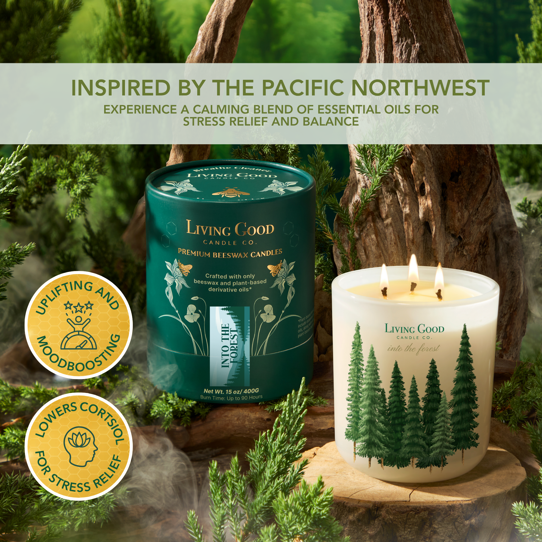 Living Good Candle Co. - Wholesale Jar/Filled Candle - Into The Forest - Beeswax Candle - Pine & Eucalyptus1