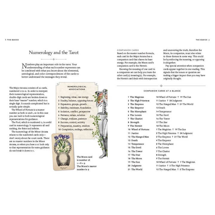 Abrams - Wholesale Tarot Cards - Antique Anatomy Tarot Kit1