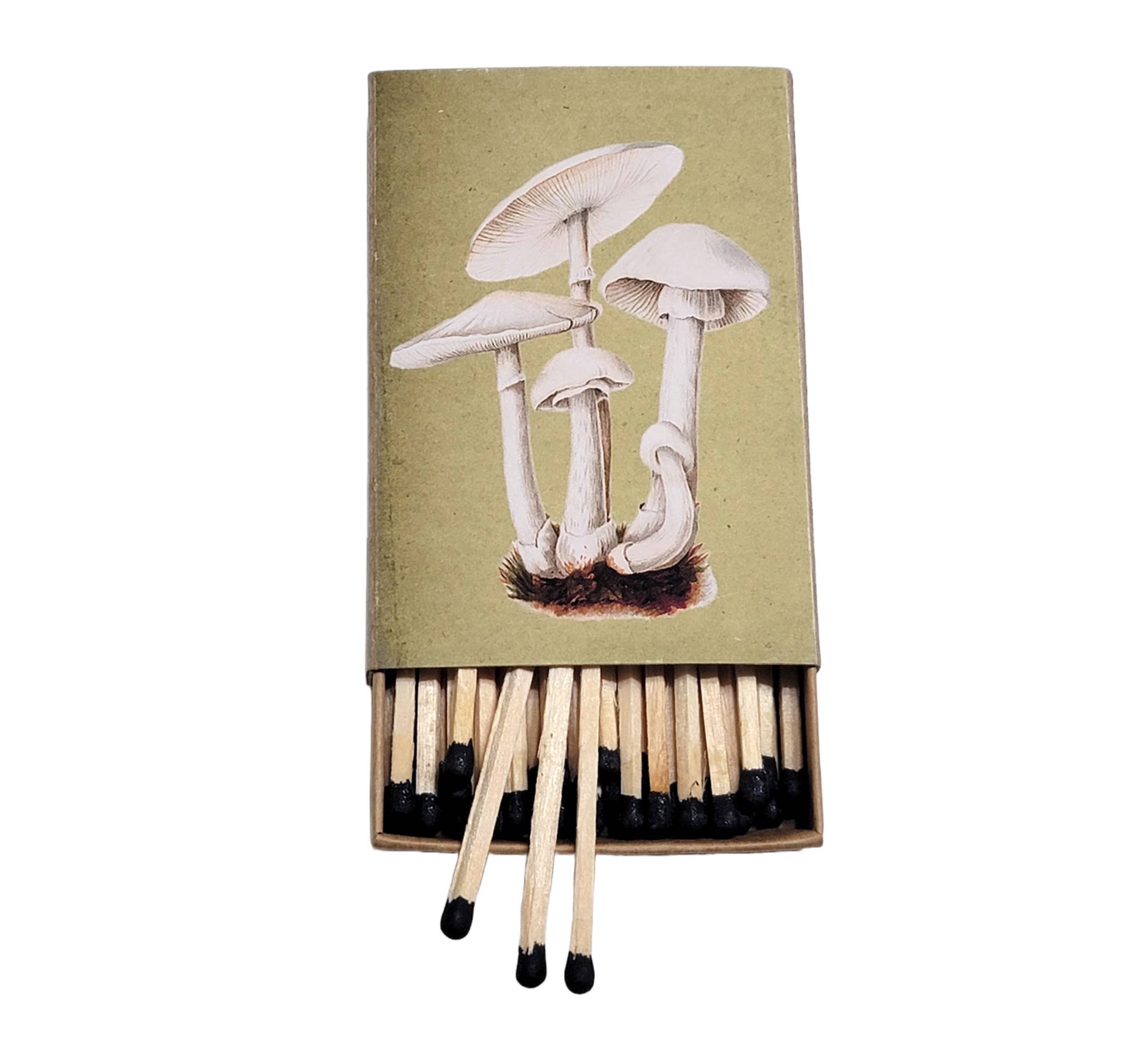 Superior Dry Goods - Wholesale Matches - "Natural 'Shrooms!" Handmade Decorator Matchbox Lot4