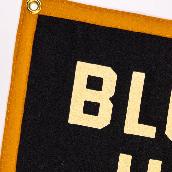 Oxford Pennant - Wholesale Flag - Blow Up Your TV Camp Flag • John Prine x Oxford Pennant4