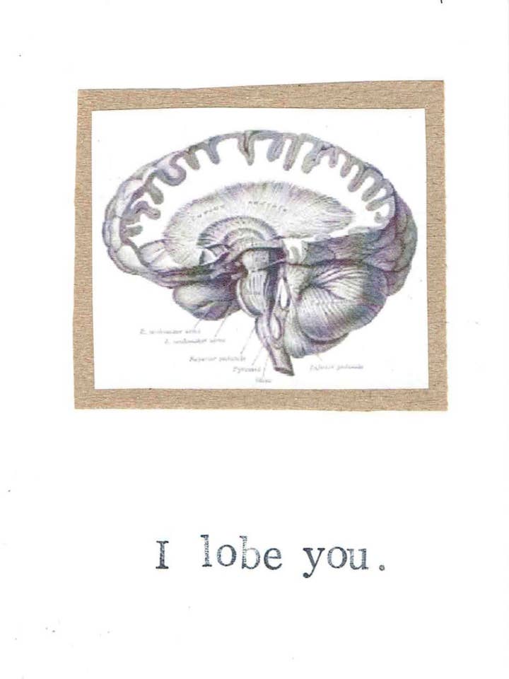I Lobe You Card | Funny Valentine Science Pun Geeky Psychologie Medische Humor voor wholesale door BlueSpecsStudio