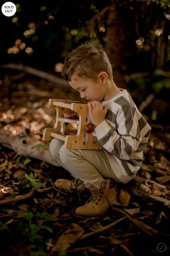 QToysUSA - Wholesale Wood Toy - Kids - Wooden Microscope1