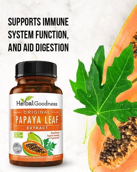 Herbal Goodness – wholesale Oral supplement/vitamin – Papaya Leaf Extract - Capsules 600mg-10X Strength6