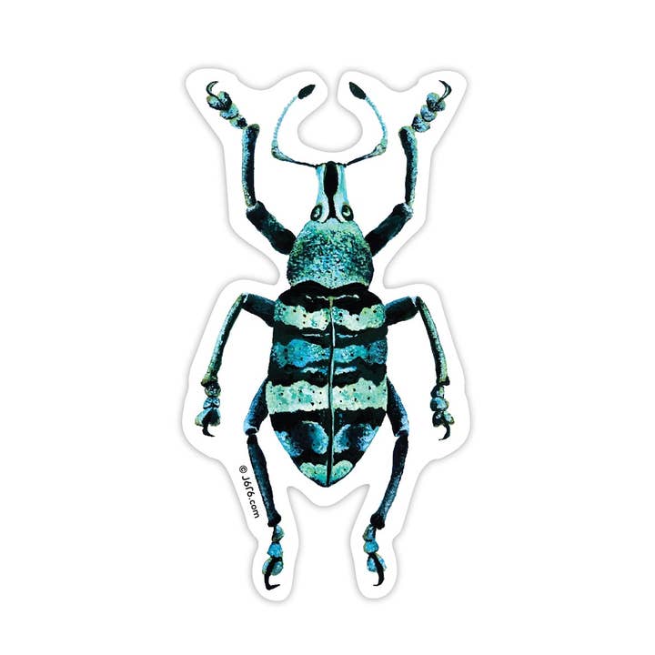 J6R6 - Wholesale Sticker - Weevil Bug Vinyl Sticker0