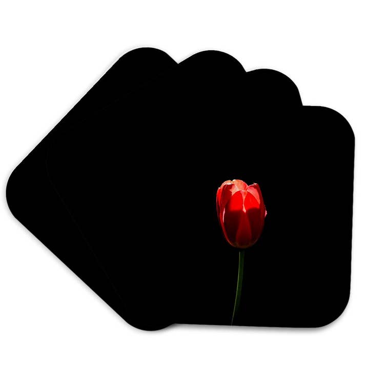 3dRose - Wholesale Coasters - 3dRose, Sunlit red tulip, black background. Minimalist composition, Coaster7