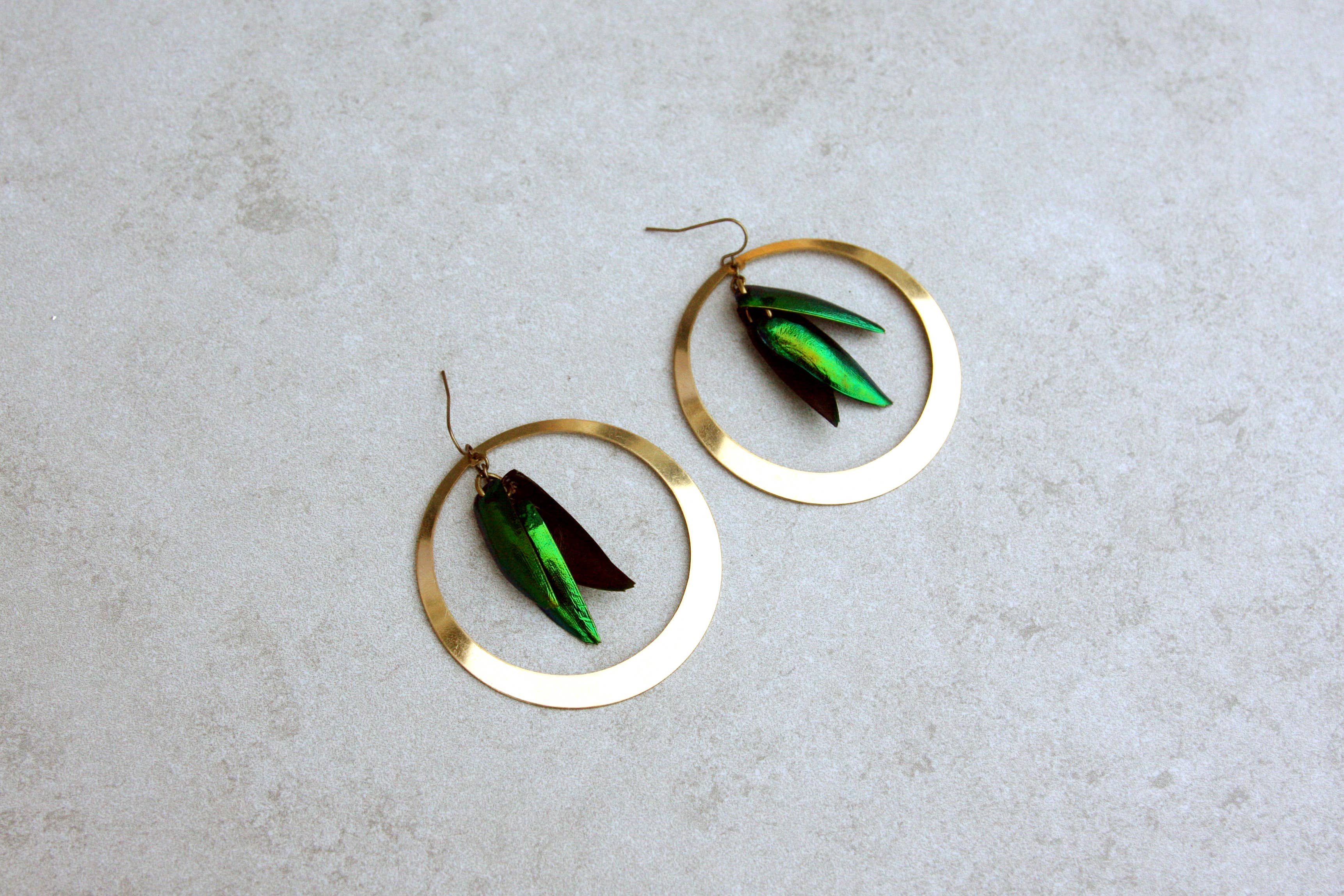 daniAWESOME - Wholesale Dangle Earrings - Brilliant Beetle Wing Statement Hoop Earrings2