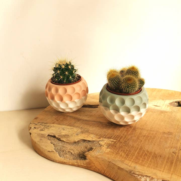 Vinci dEco - Wholesale Vase - Mini Bubble Jar Mini Cactus Ball Vase