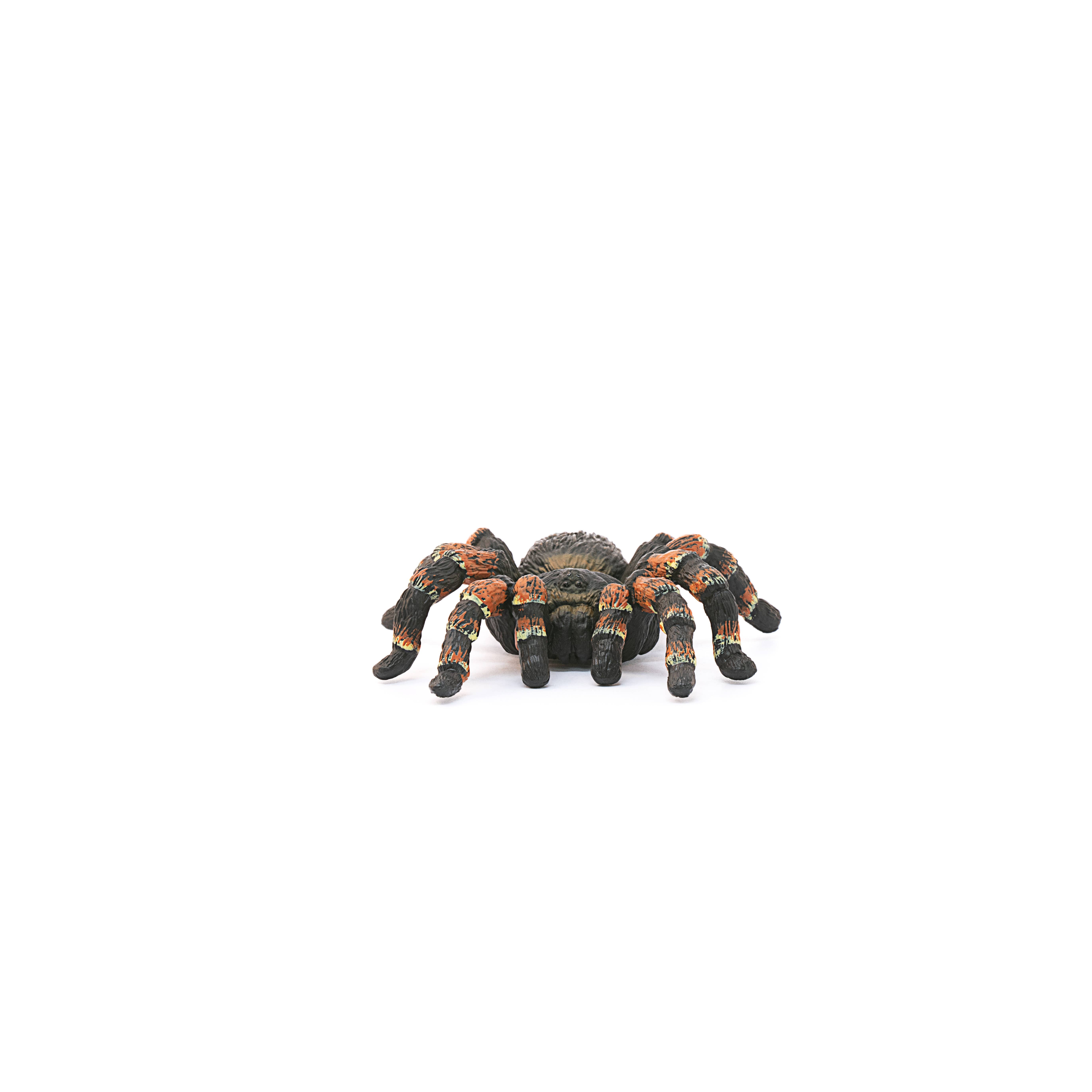 Schleich - Wholesale Figurine Toy - Kids - Tarantula Spider Animal Toy1