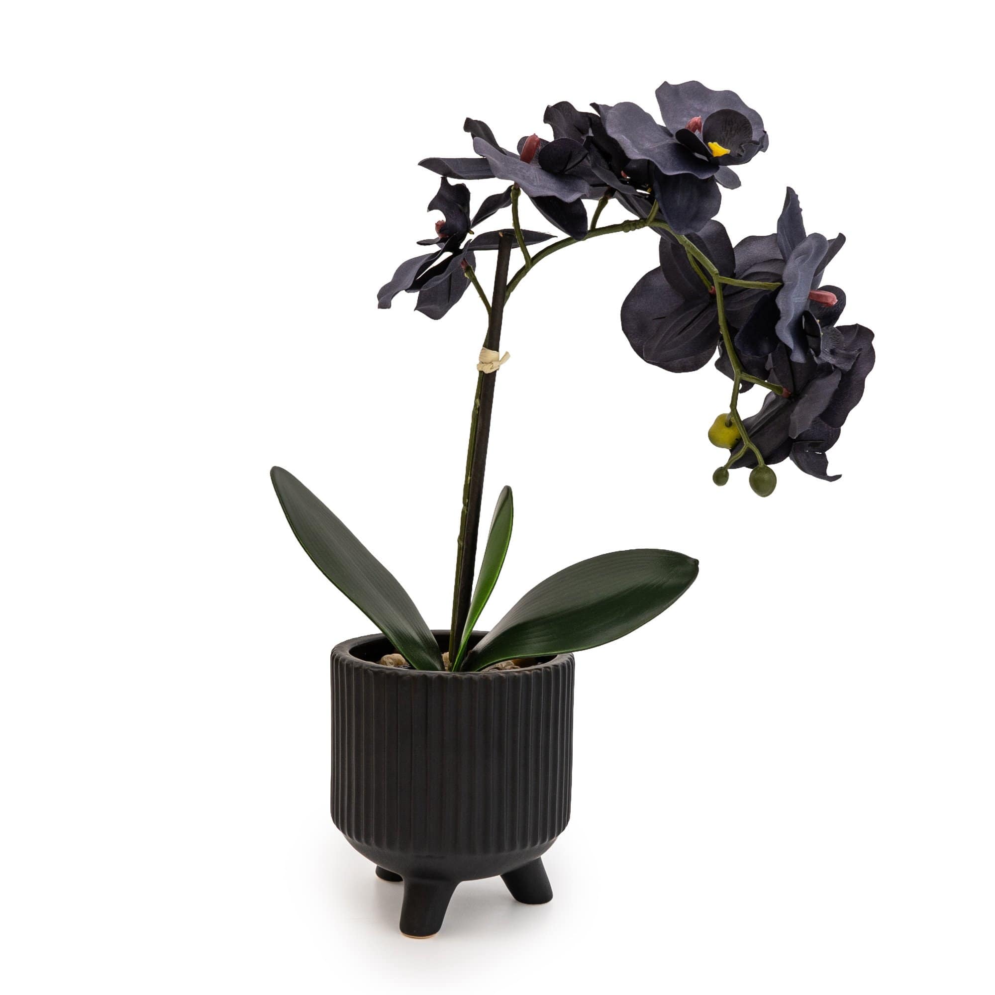 Candlelight Products Ltd – wholesale Artificial flowers – Black Orchid in Matte Black Ceramic Footed Pot 42cm 1PK1