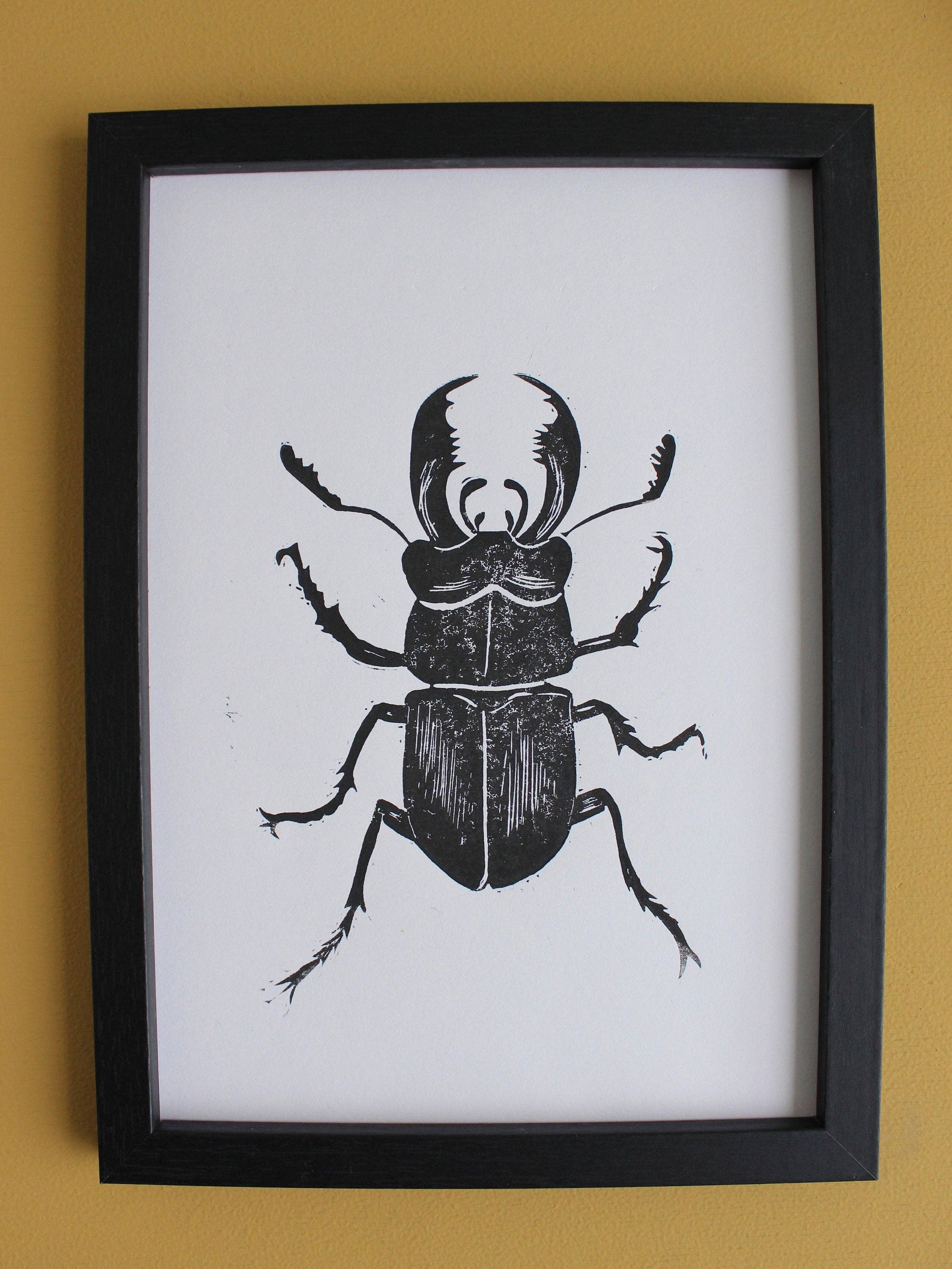 Jackdaw and Bear - Wholesale Art print - Stag Beetle Lino hand printed insect linocut print6