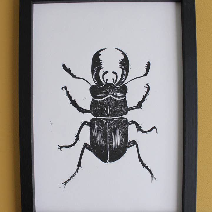 Jackdaw and Bear - Wholesale Art print - Stag Beetle Lino hand printed insect linocut print6